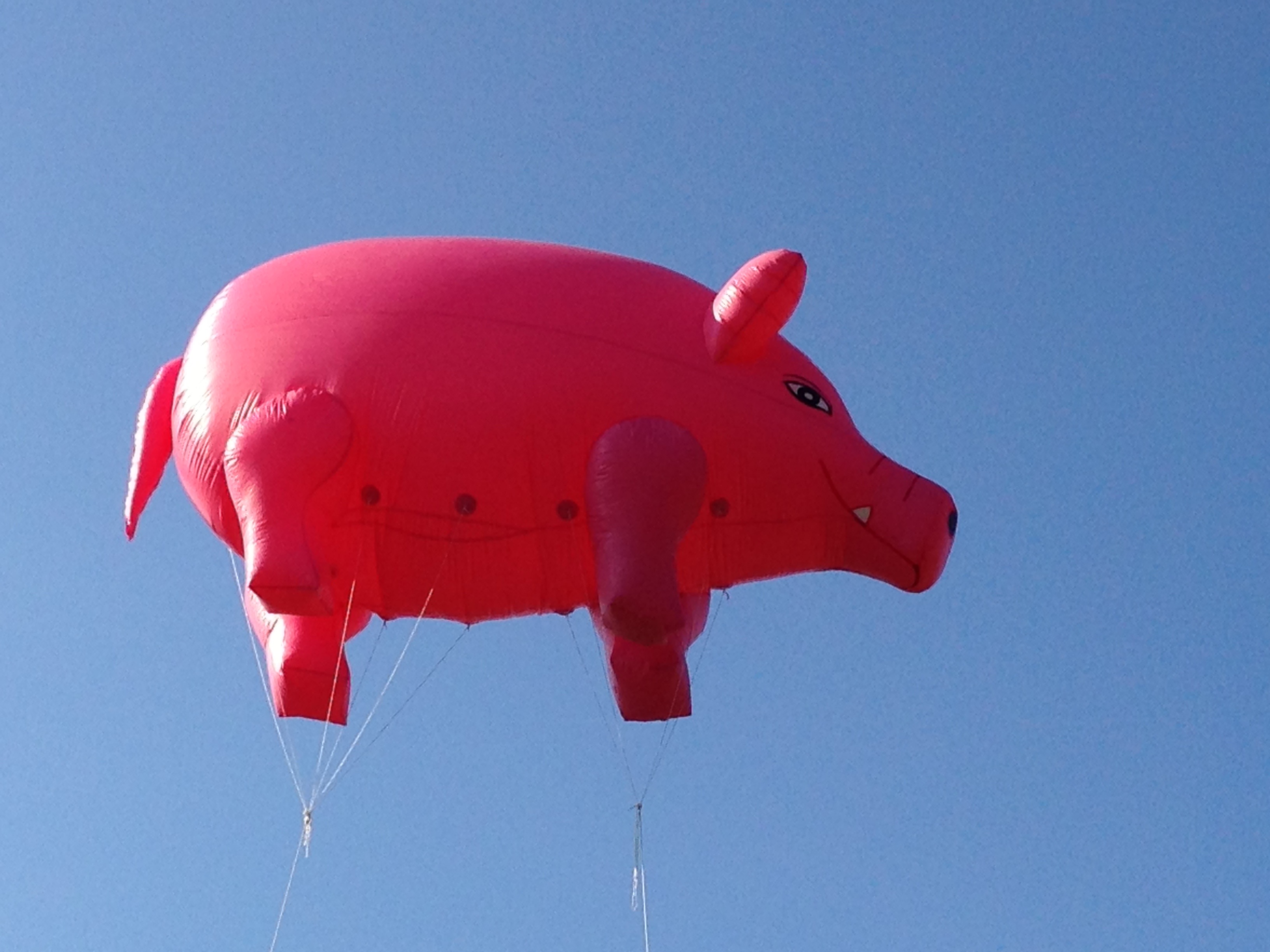 Flying Pink Pig balloon