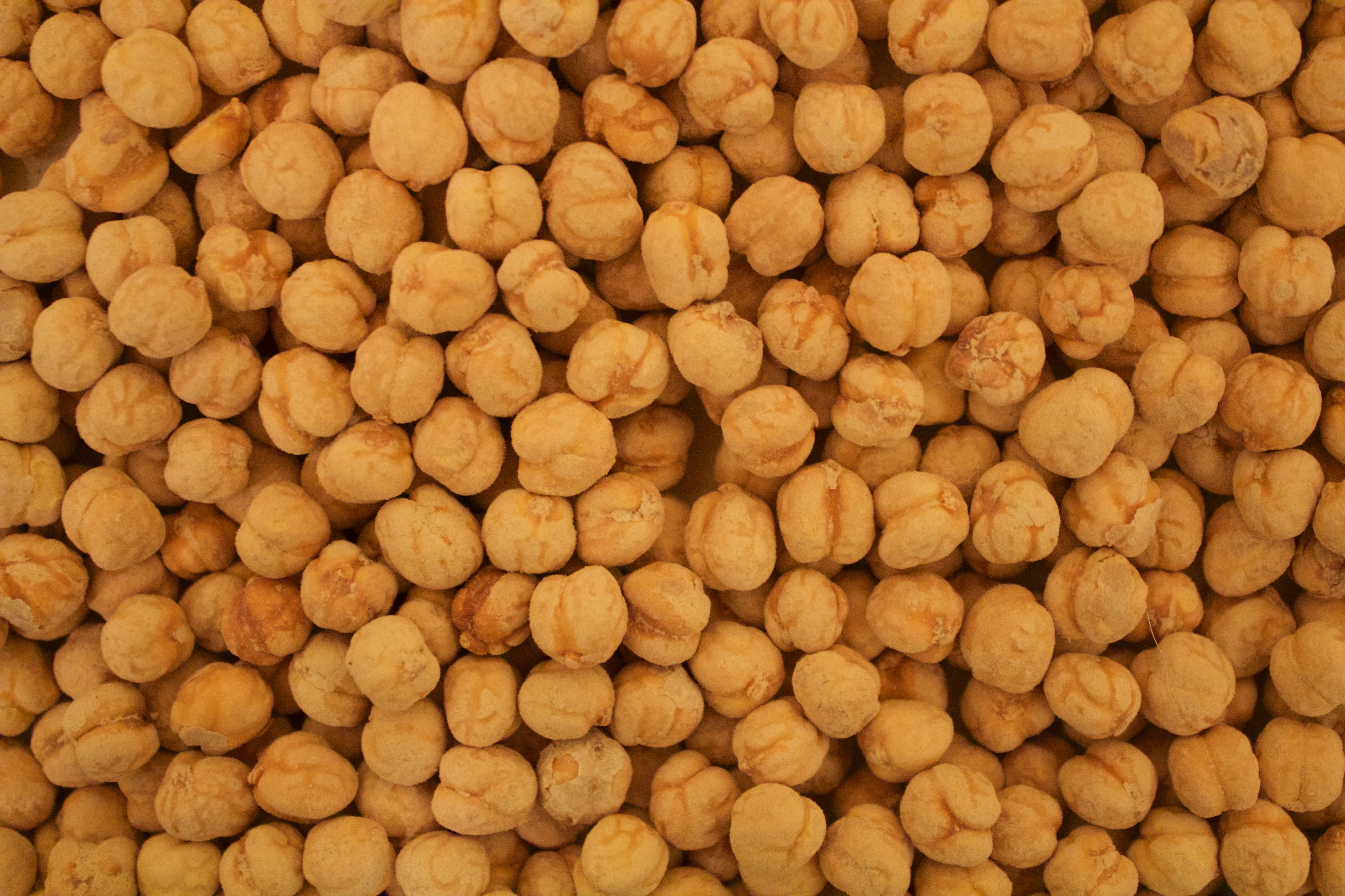 Dried Chickpeas